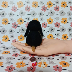 羊毛フェルト ダックスフンド ぬいぐるみ 5枚目の画像