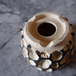 3.5号黒化粧砂岩鉢418　塊根植物　多肉植物　アガベ　盆栽　植木鉢　作家鉢　鉢台　沖縄 6枚目の画像