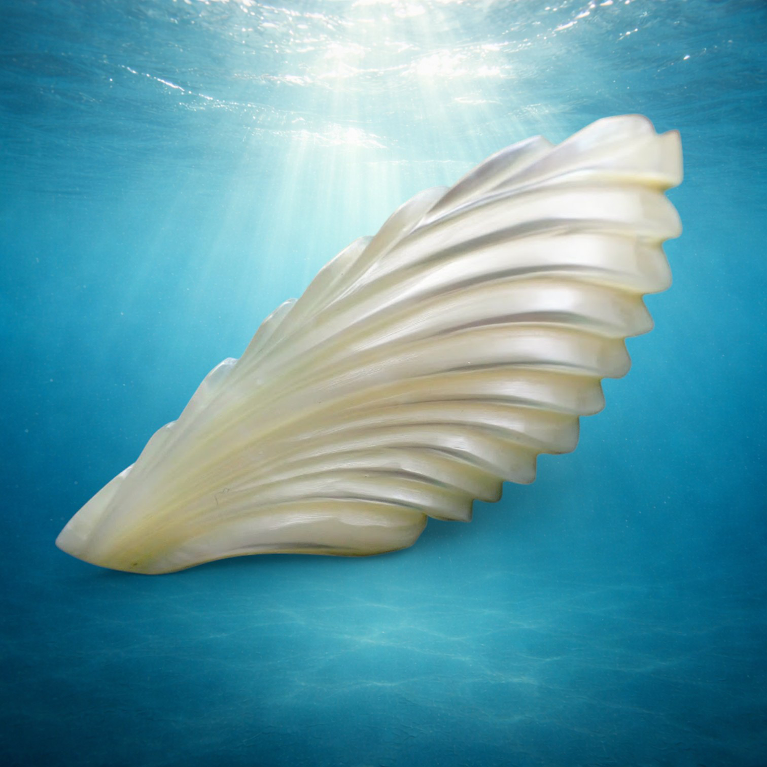 沖縄の海の光を宿す 夜光貝の翼バレッタ｜一点物シェルヘアアクセサリー