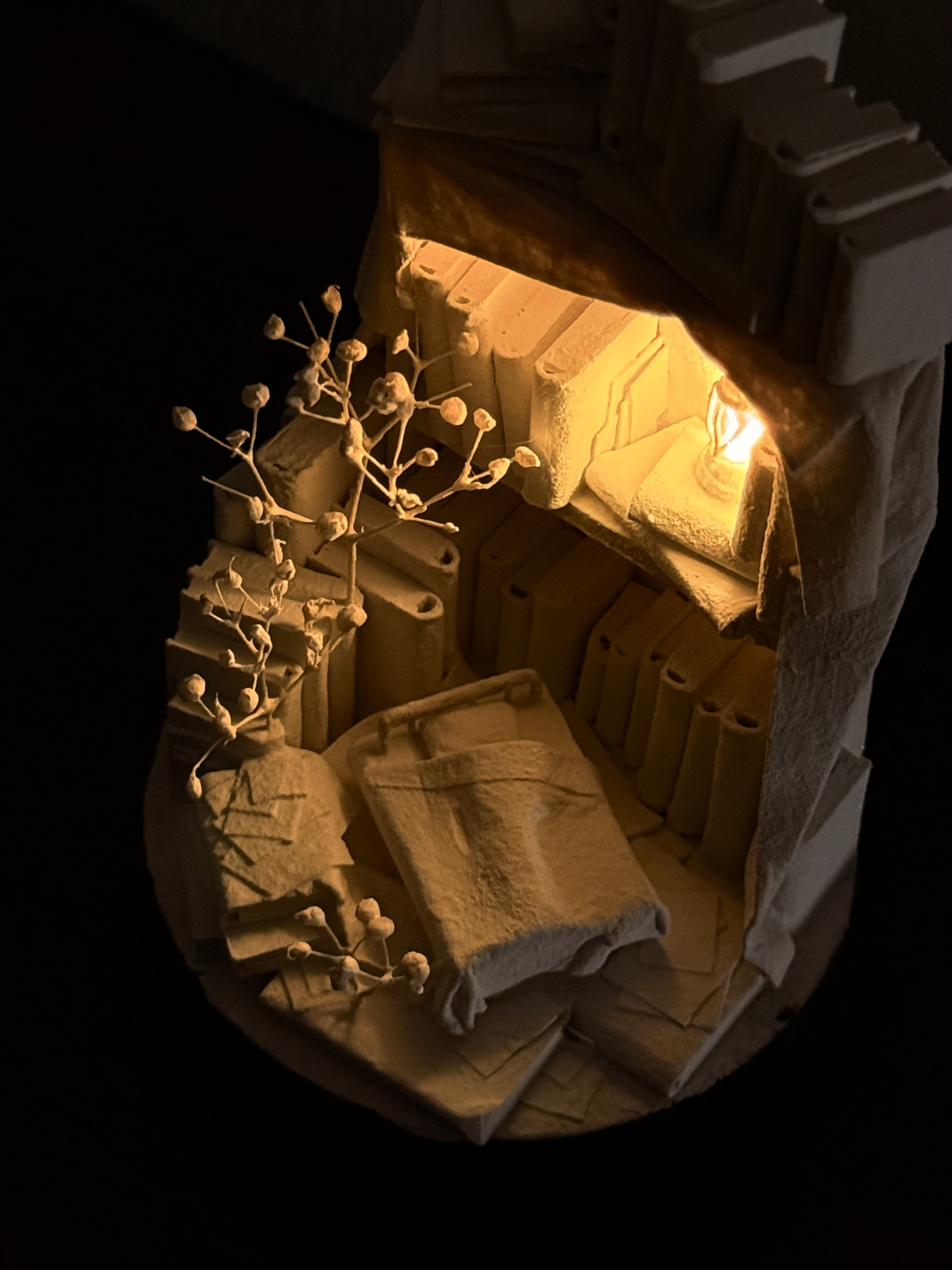 記憶の棲家　夢