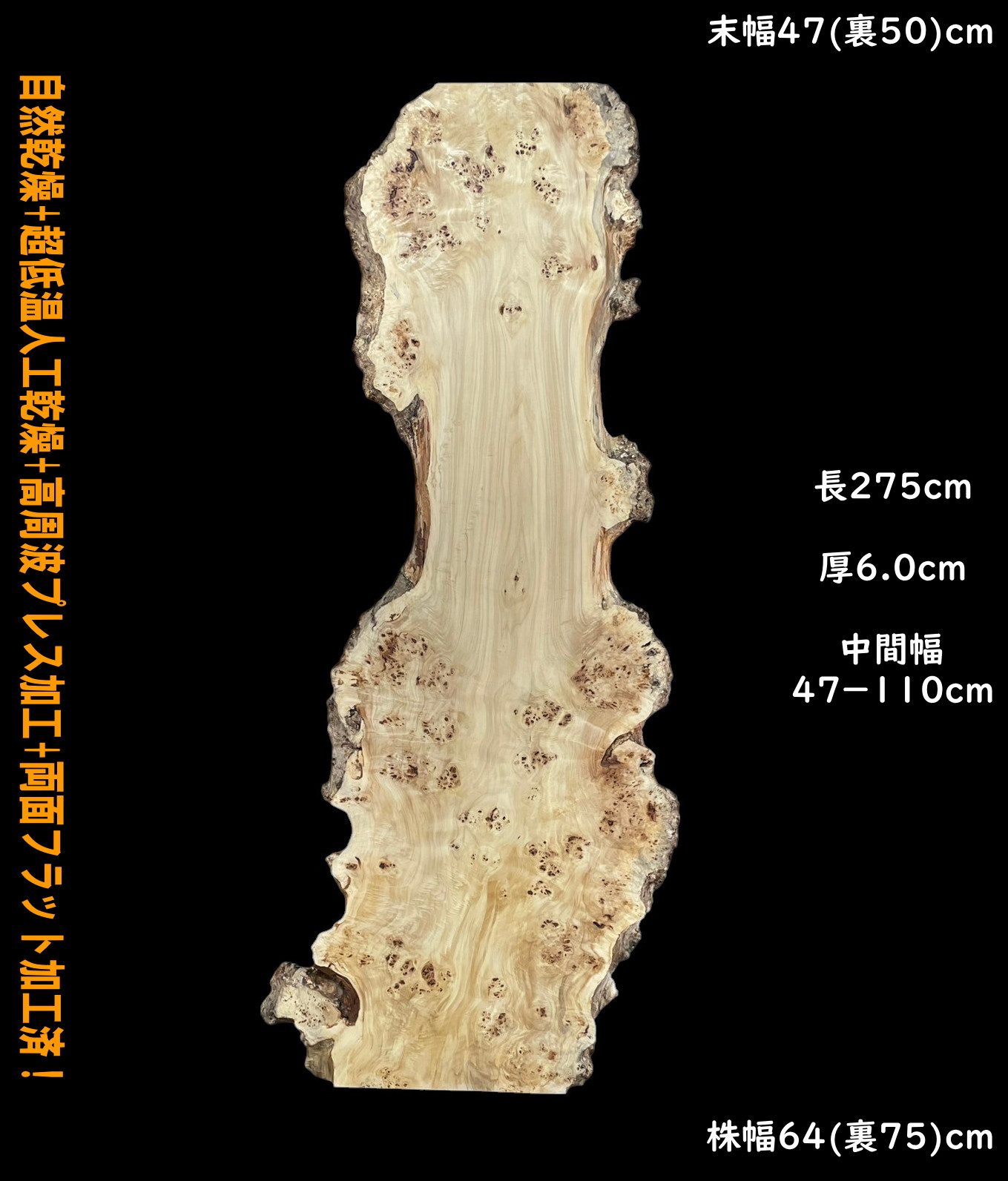 ポプラ　C966　一枚板　長尺　乾燥材　棚板　カウンター　テーブル　レジン　天板　◆営業所止送料無料◆