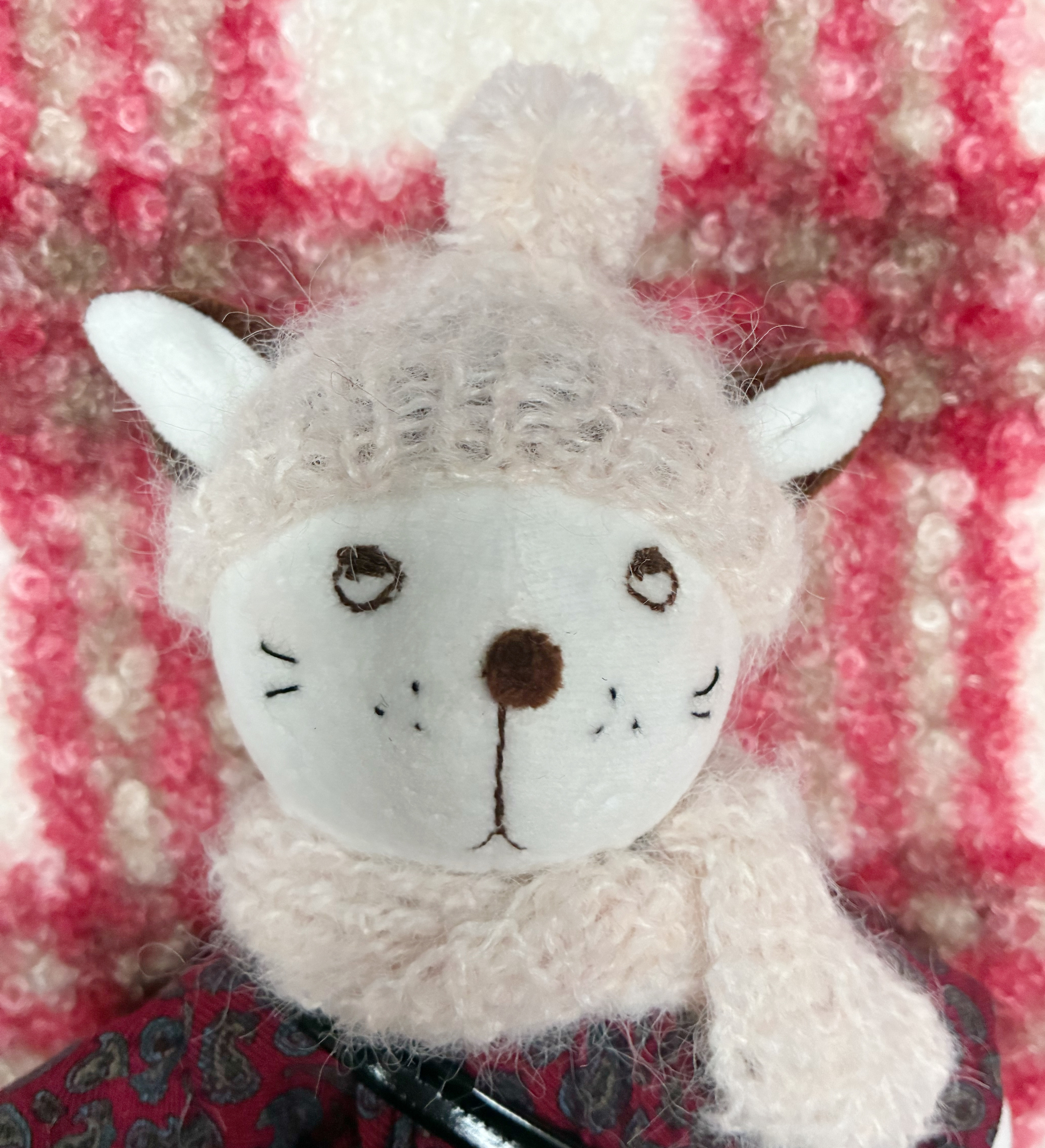 白おとぼけねこ