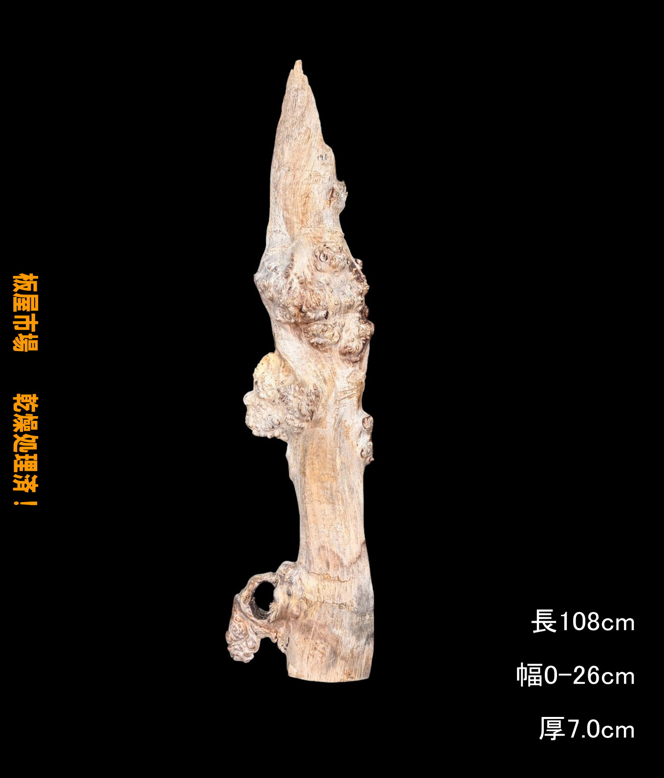 楡瘤　C191　レジン用　一枚板　乾燥材　棚板　DIY　耳付　天板　テレビボード　◆全国都道府県送料無料◆