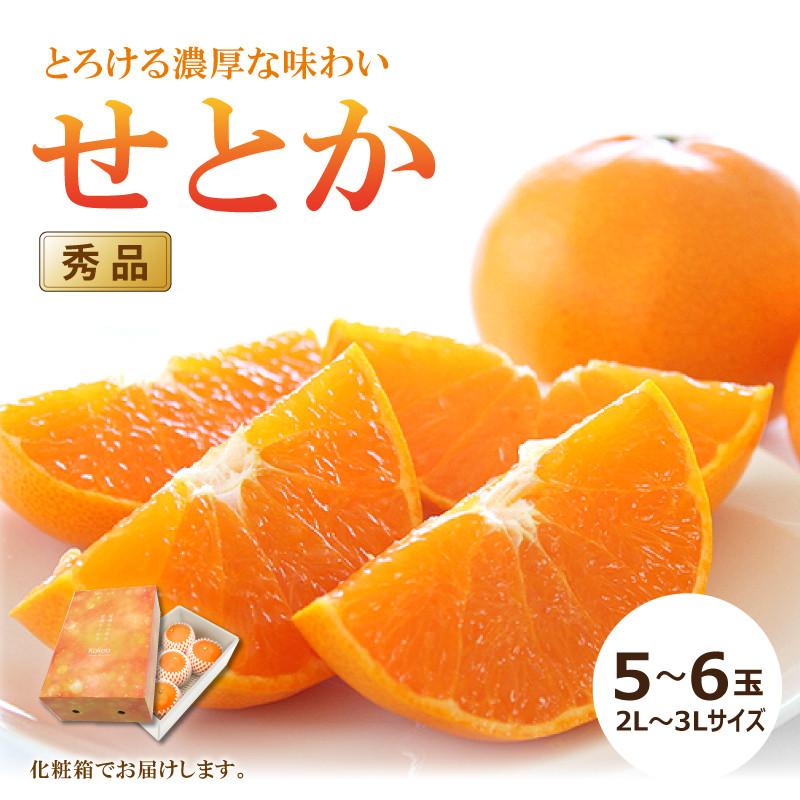 【予約】【送料無料】せとか〈秀品・高級化粧箱・小箱〉約1.5kg　※2月中旬頃より順次発送開始予定