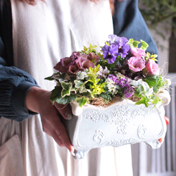 ネイティブフラワー スワッグ ❁⃘*.゜ プロテア アンティーク ドライ