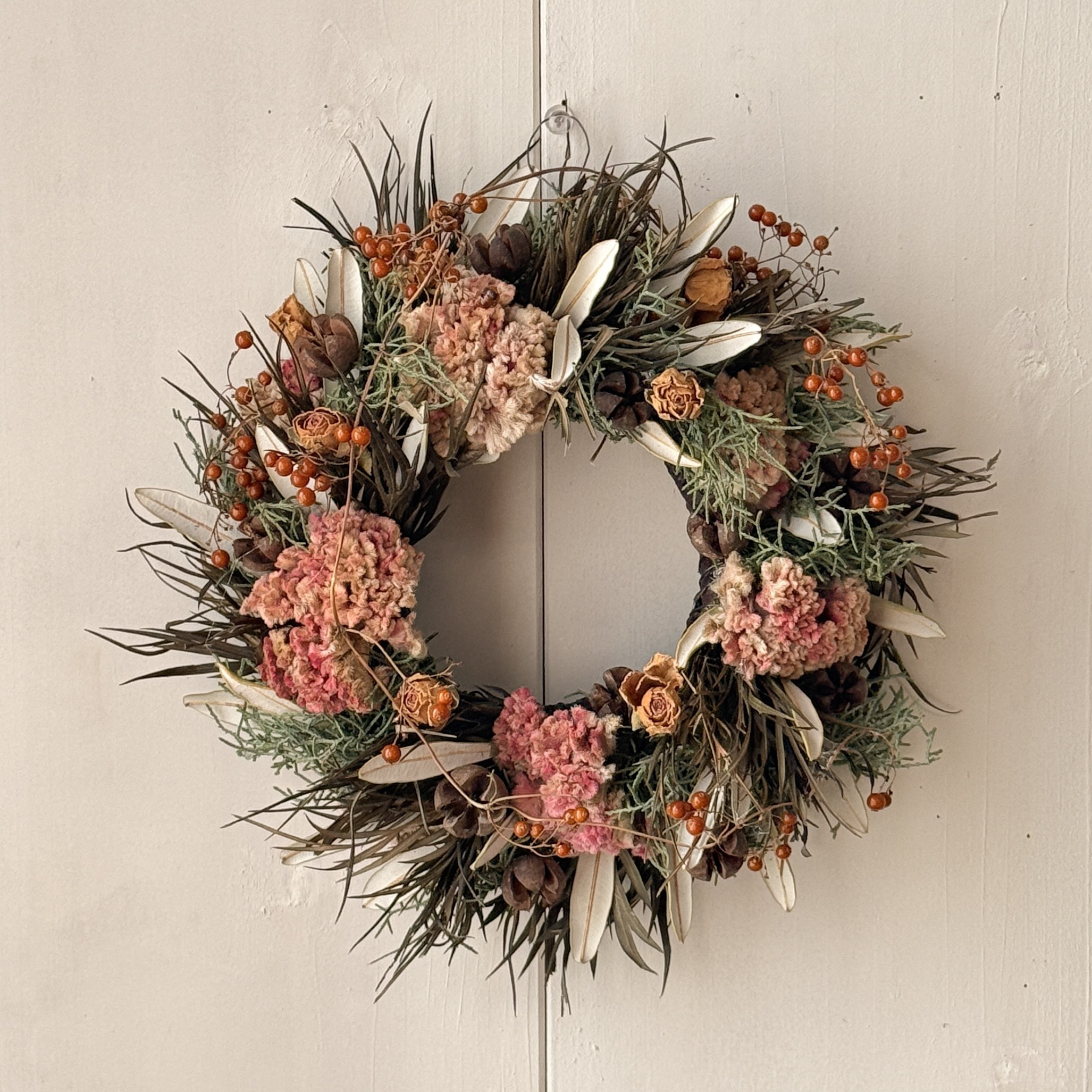 ドライフラワーリース ワイルドフラワー ケイトウ 25cm 玄関 リビング No.81 一点物