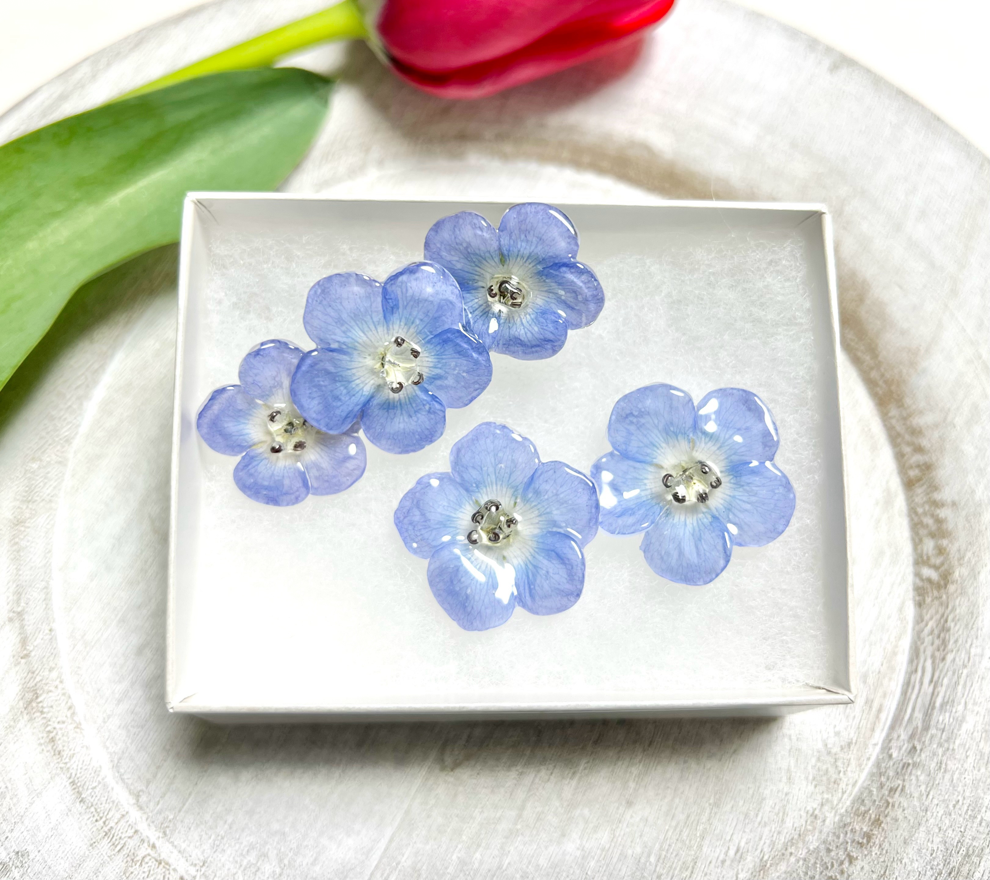 本物のお花　ネモフィラのドライフラワーピアスと、ヘアクリップのセット①  | Creema限定 ご自愛福袋2026