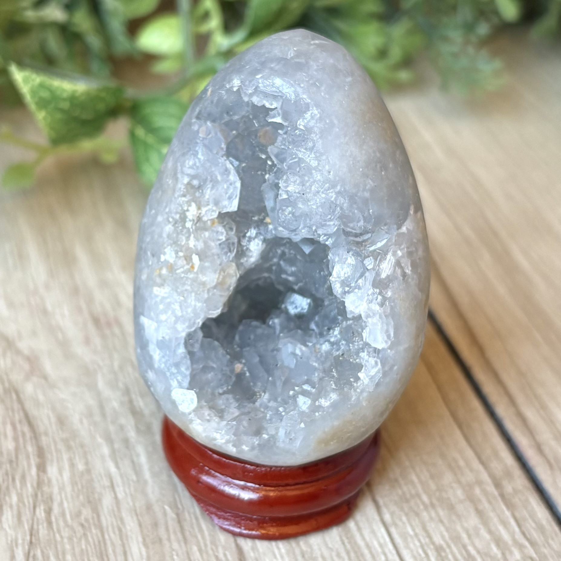 淡青の結晶が包み込む セレスタイト 卵形クラスター/パワー 天然石 ストーン