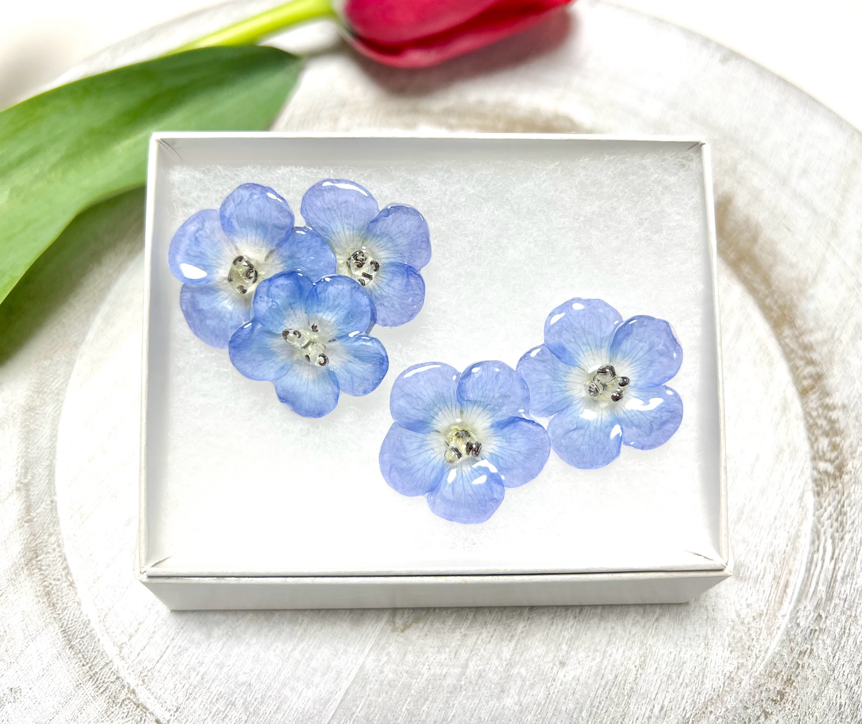 本物のお花　ネモフィラのドライフラワーピアスと、ポニーフックのセット③  | Creema限定 ご自愛福袋2026
