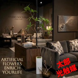 光触媒 人工観葉植物 ウォールグリーン フェイクグリーン サラサ