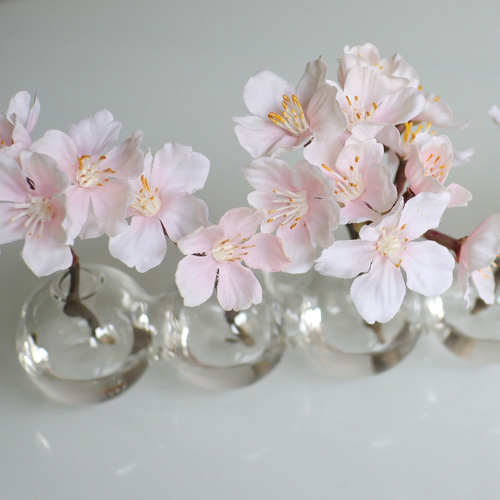 ずっと咲いてる》桜並木のバブルハーモニー/serax社/アーティ