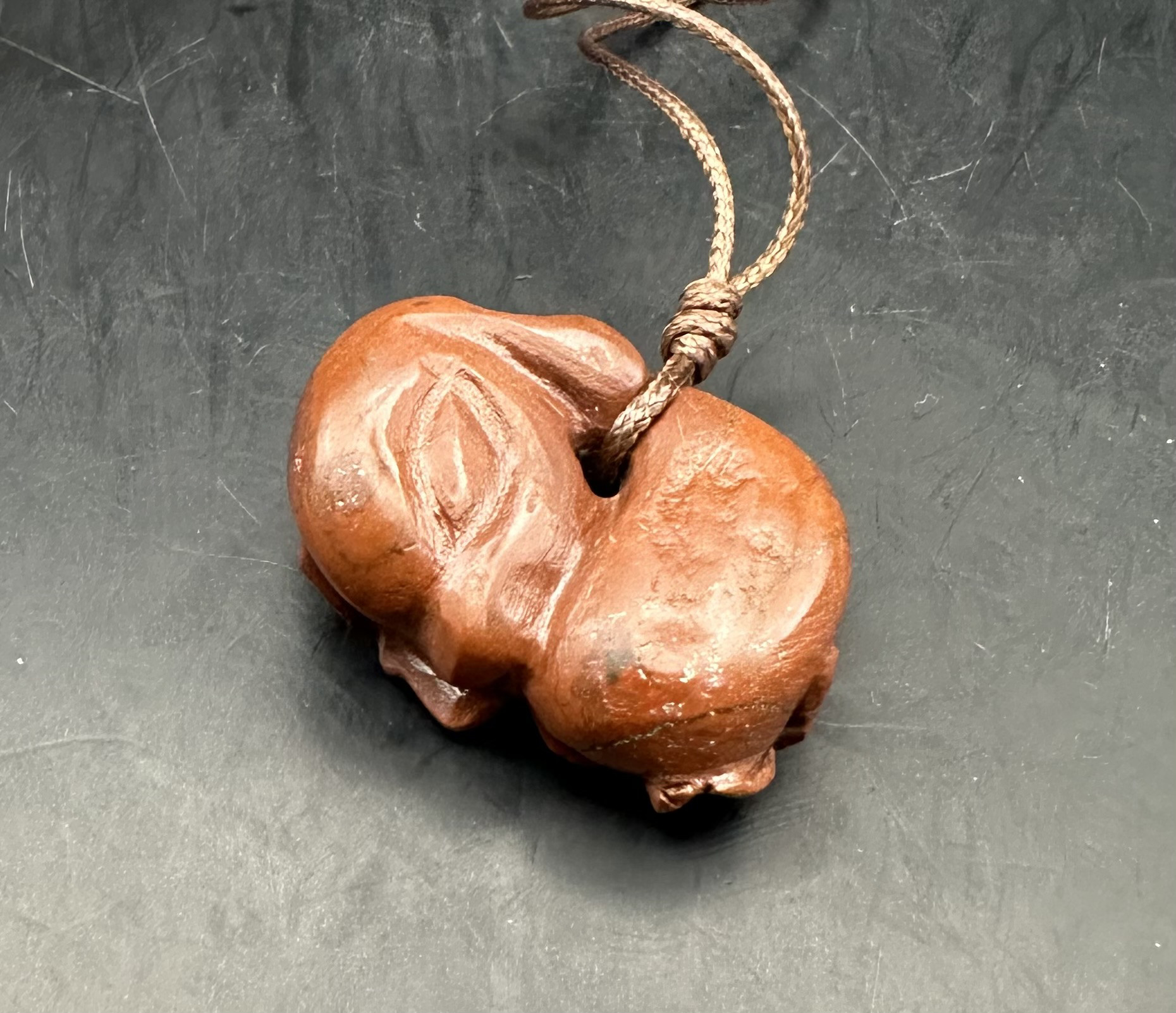 2026.2.8桜花海昼寝子犬魂玉　新潟赤玉