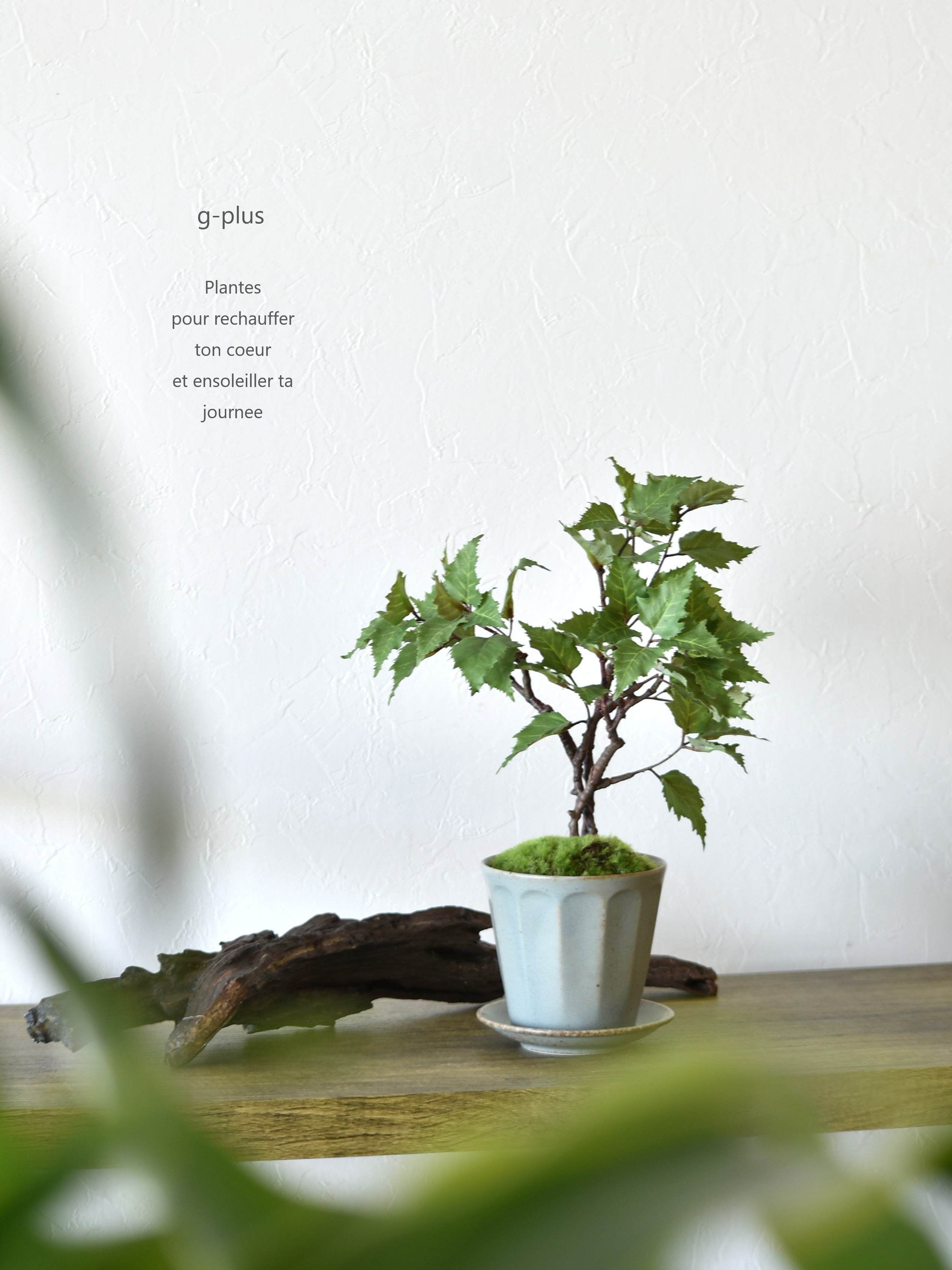 【限定１点】陶器鉢に入ったバーチ(ブルーグレー鉢)　盆栽風　アーティフィシャルフラワー