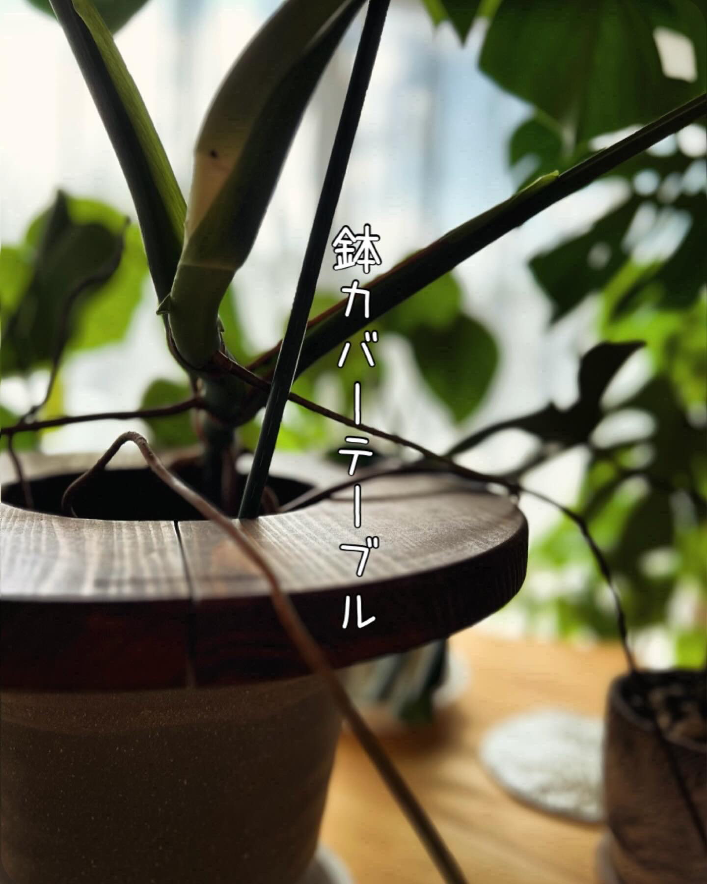 鉢カバーテーブル　【直径46ｃｍ】/観葉植物/グリーン/鉢/鉢植え