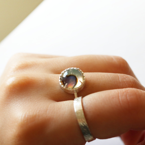 （925銀）鮑魚殼*水晶銀磨坊戒指（10毫米） 第5張的照片