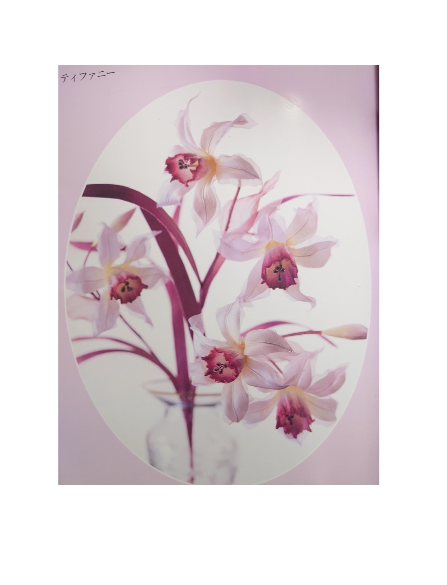 51【受注生産】アーティフィシャルフラワー　完全手染め・手作り　高級シルクの花