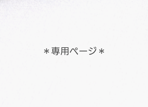 【カラー選べます】帆布 トートバック/Lサイズ/たっぷり収納/2ポケット/2way/旅行 ＊持ち手長さ変更可能＊