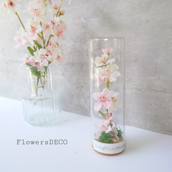 桜（さくら） プリザーブドフラワー のおすすめ人気通販｜Creema
