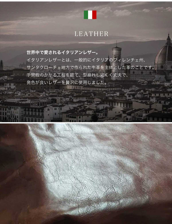 正式兩用肩背包/手提包/斜背包，義大利真皮，棕色，HAB046-VO 第19張的照片