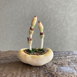 10039.bud 粘土の鉢植え 土筆 1枚目の画像