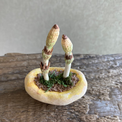 10039.bud 粘土の鉢植え 土筆 3枚目の画像