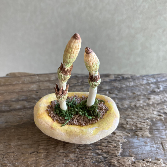 10039.bud 粘土の鉢植え 土筆 3枚目の画像