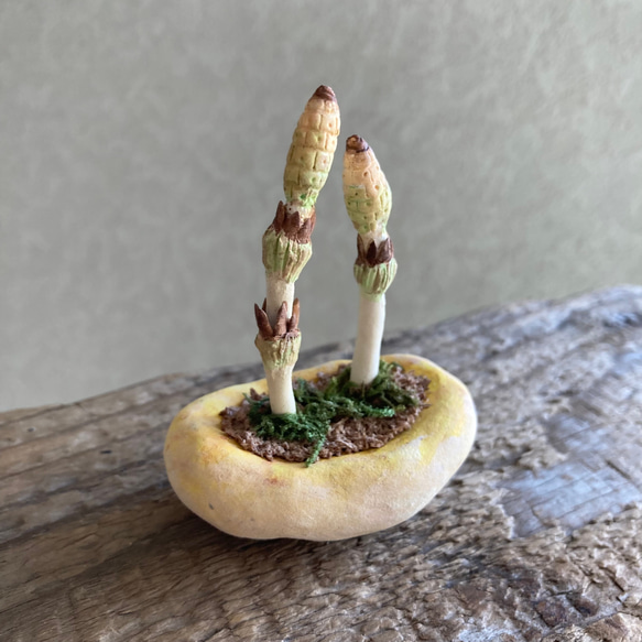 10039.bud 粘土の鉢植え 土筆 4枚目の画像