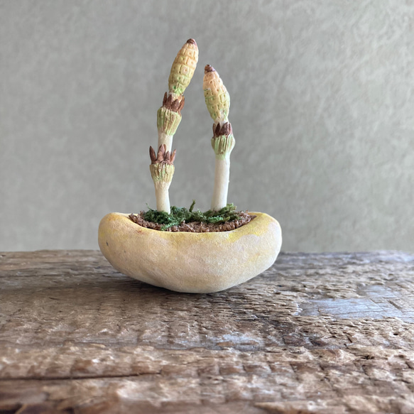 10039.bud 粘土の鉢植え 土筆 5枚目の画像
