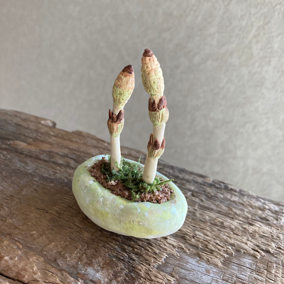 10040.bud 粘土の鉢植え 土筆 2枚目の画像