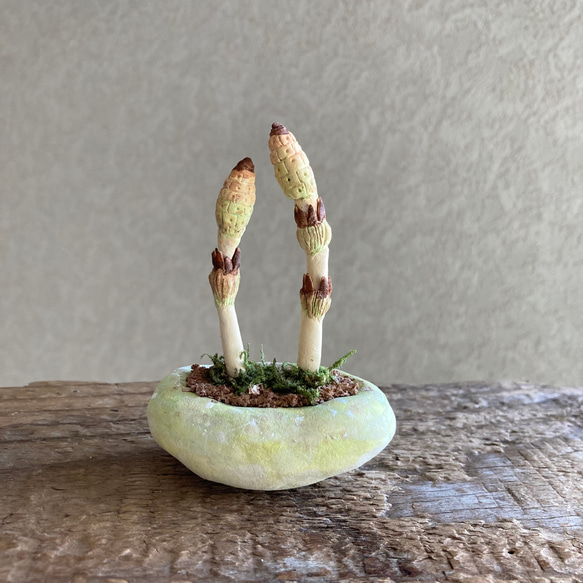 10040.bud 粘土の鉢植え 土筆 1枚目の画像