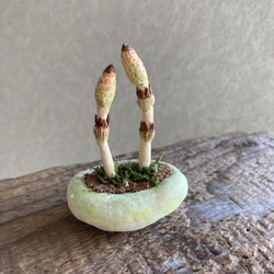 10040.bud 粘土の鉢植え 土筆 4枚目の画像