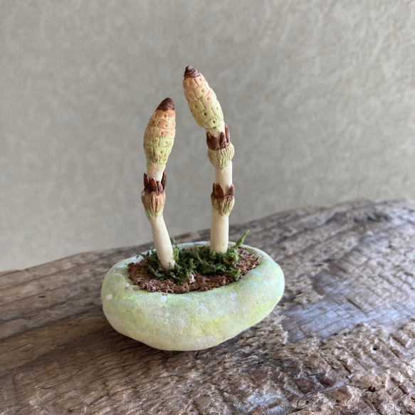 10040.bud 粘土の鉢植え 土筆 4枚目の画像