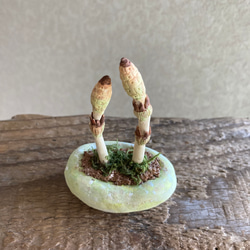 10040.bud 粘土の鉢植え 土筆 3枚目の画像