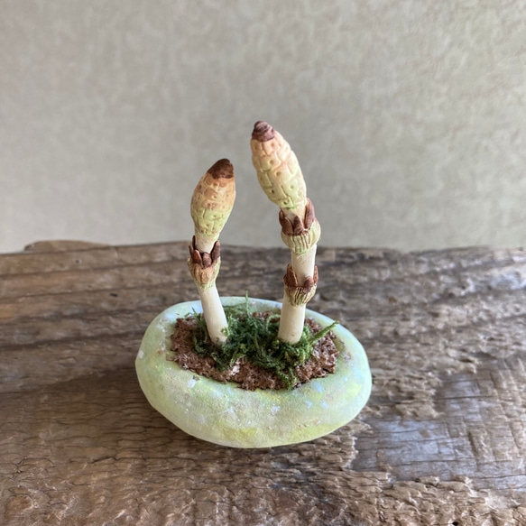 10040.bud 粘土の鉢植え 土筆 3枚目の画像
