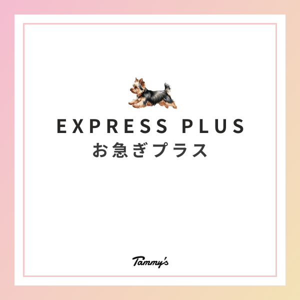 お急ぎプラス サービス ＃うちの子オーダー #羊毛フェルト #犬ぬいぐるみ #フェルトイヌ #オーダーメイド犬 #ペット