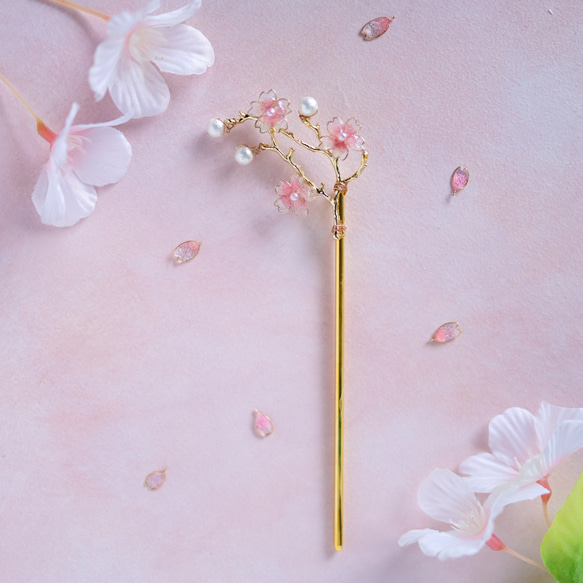  第2張的照片