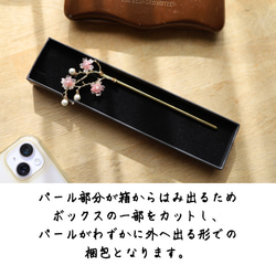  第11張的照片