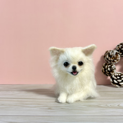 羊毛フェルト チワワ のおすすめ人気通販 検索結果｜Creema(クリーマ