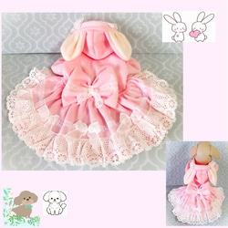 犬服【新作】バレンタインワンピース／チョコレートカラー 送料無料