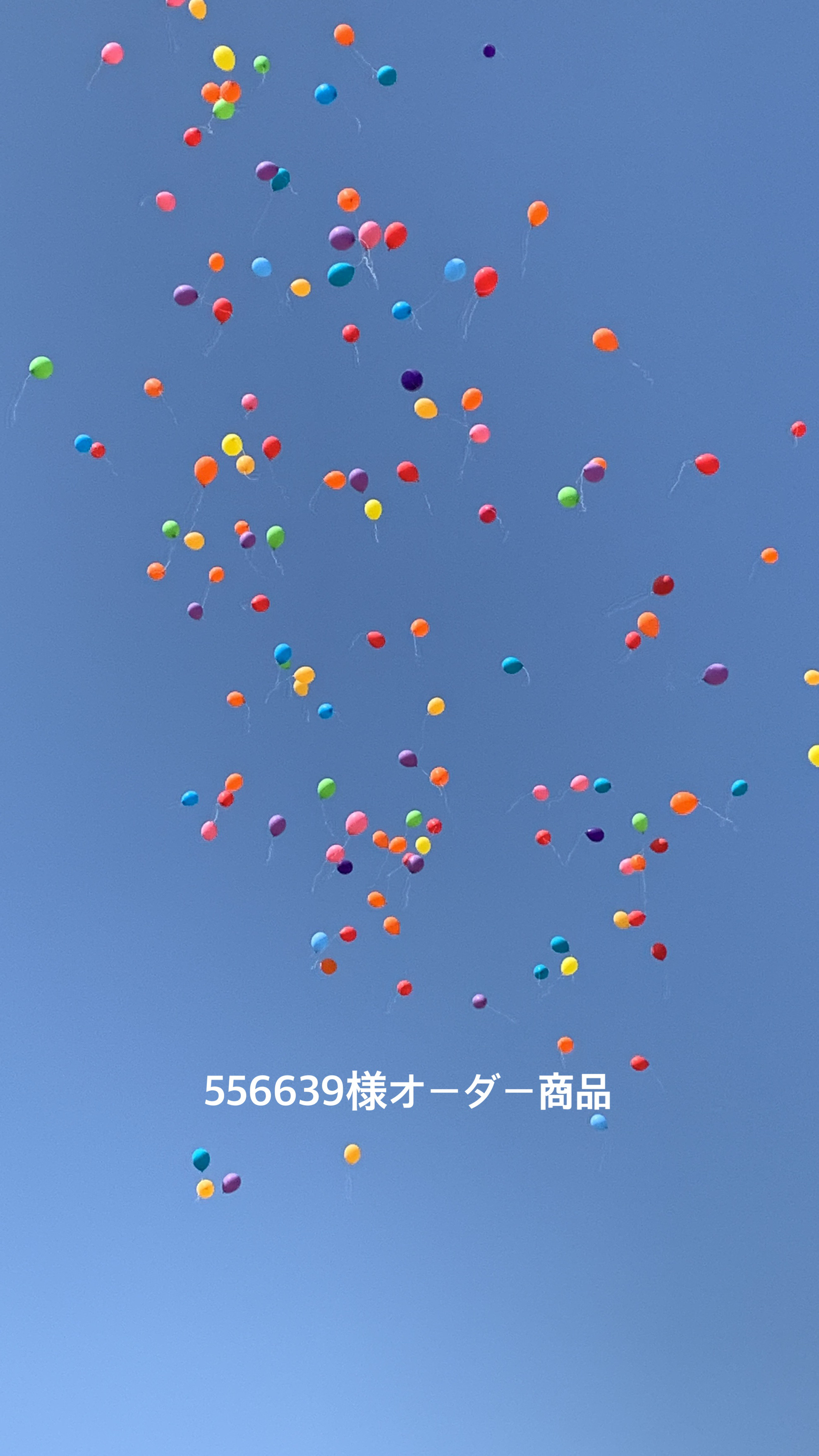 556639様オーダー商品