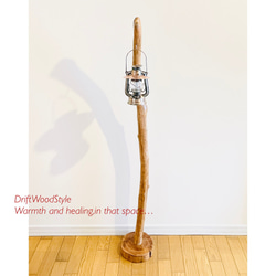 なだらかに曲線を描く古木風の大型サイズの流木スタンド ランタンやエアプラントを飾れる置物 北欧 照明 N10 9枚目の画像