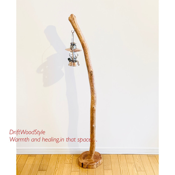 なだらかに曲線を描く古木風の大型サイズの流木スタンド ランタンやエアプラントを飾れる置物 北欧 照明 N10 12枚目の画像