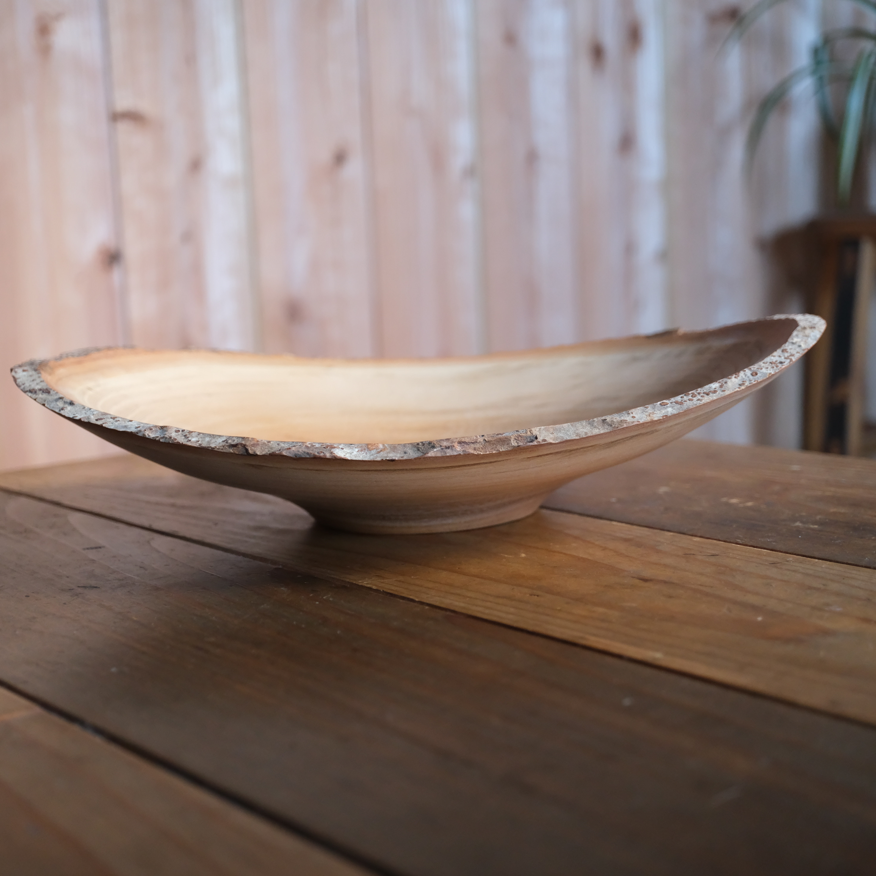 ケヤキのナチュラルエッジボウル〈ガラスコーティング〉【v1173】