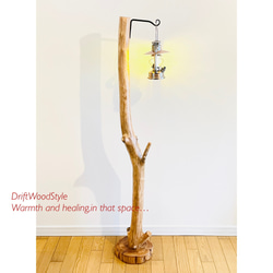 流木の止まり木 取り外しができる止まり木スタンド インコ オウム 鳥