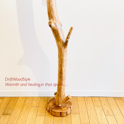 アイアンブラケットに吊るす大型サイズの流木スタンド ランタンやエアプラントを飾れる置物 看板 照明 N11 6枚目の画像