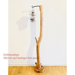 アイアンブラケットに吊るす大型サイズの流木スタンド ランタンやエアプラントを飾れる置物 看板 照明 N11 12枚目の画像