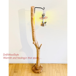 アイアンブラケットに吊るす大型サイズの流木スタンド ランタンやエアプラントを飾れる置物 看板 照明 N11 4枚目の画像