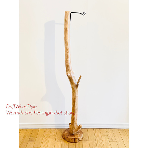 アイアンブラケットに吊るす大型サイズの流木スタンド ランタンやエアプラントを飾れる置物 看板 照明 N11 13枚目の画像