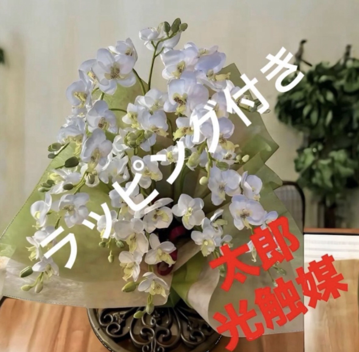 光触媒　人工観葉植物　ウォールグリーン　フェイクグリーン　ミニ胡蝶蘭483636