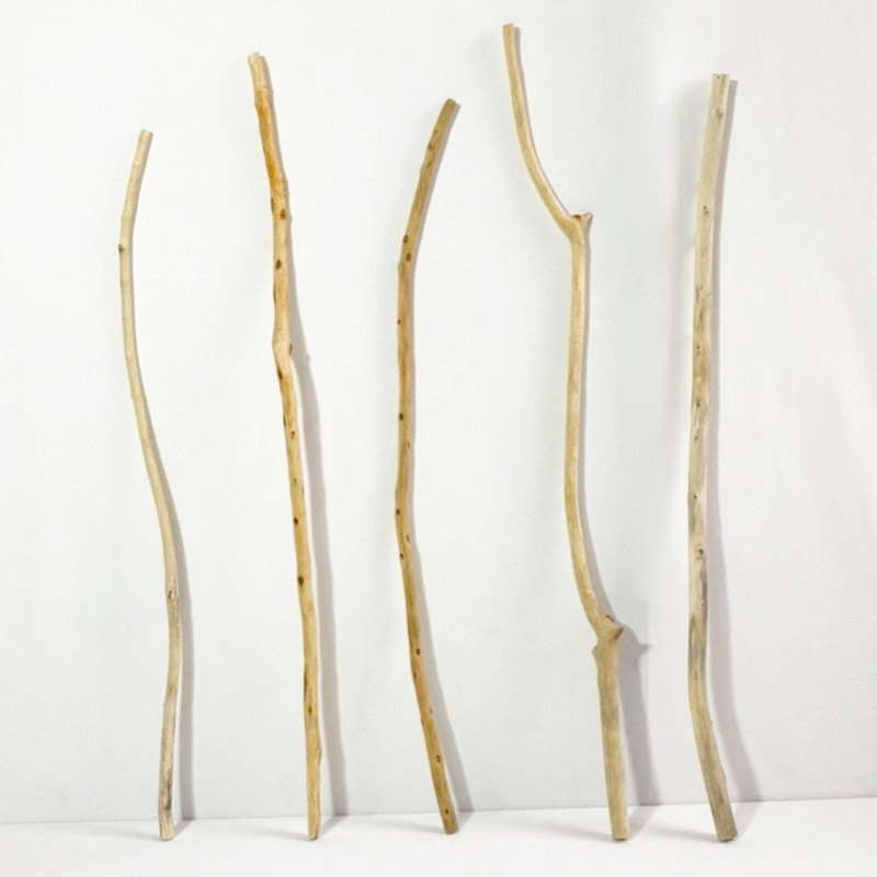 流木 棒 枝 70cm～100cm 現物画像インテリア ハンギング 吊り下げ 壁掛け 1m以下 bod0296